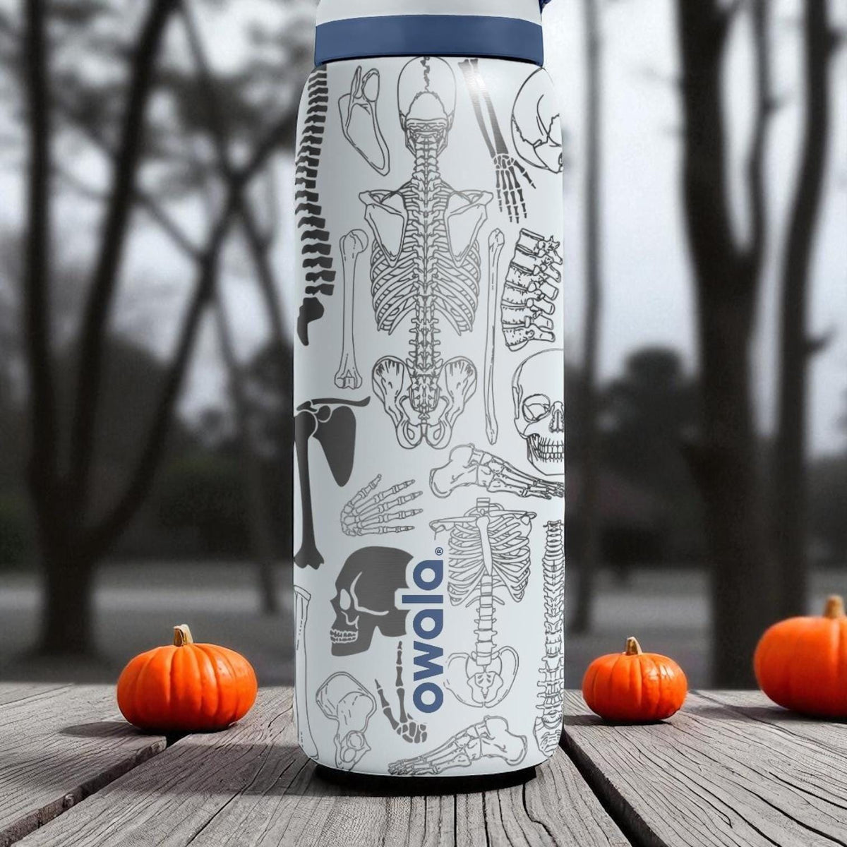 Skeleton Anatomy Owala Bottle – Engraved Medical Bones Wrap – Stainless Steel Cup 16oz 24oz 32oz 40oz