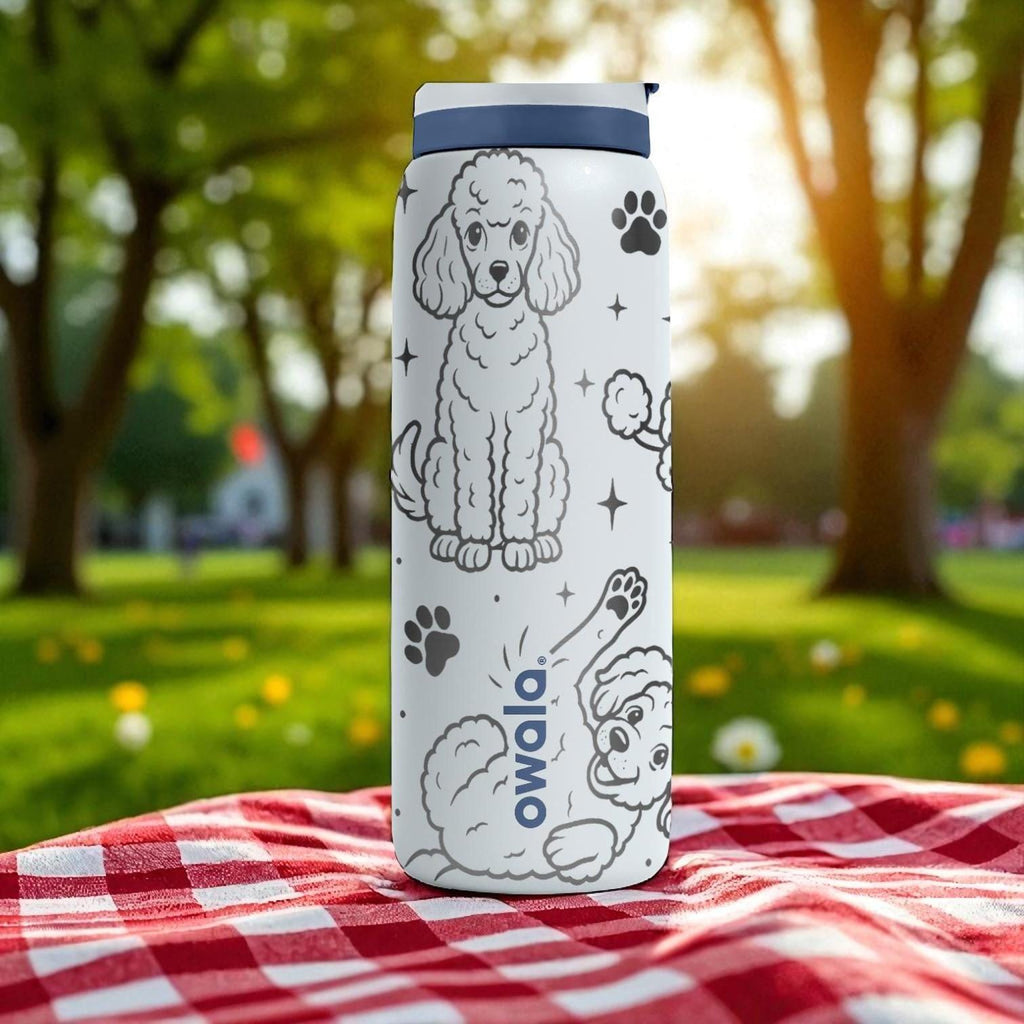Engraved Poodle Dog Owala Bottle – 16oz 24oz 32oz 40oz – Curly Pup Lover Gift, Cute Poodle Water Tumbler