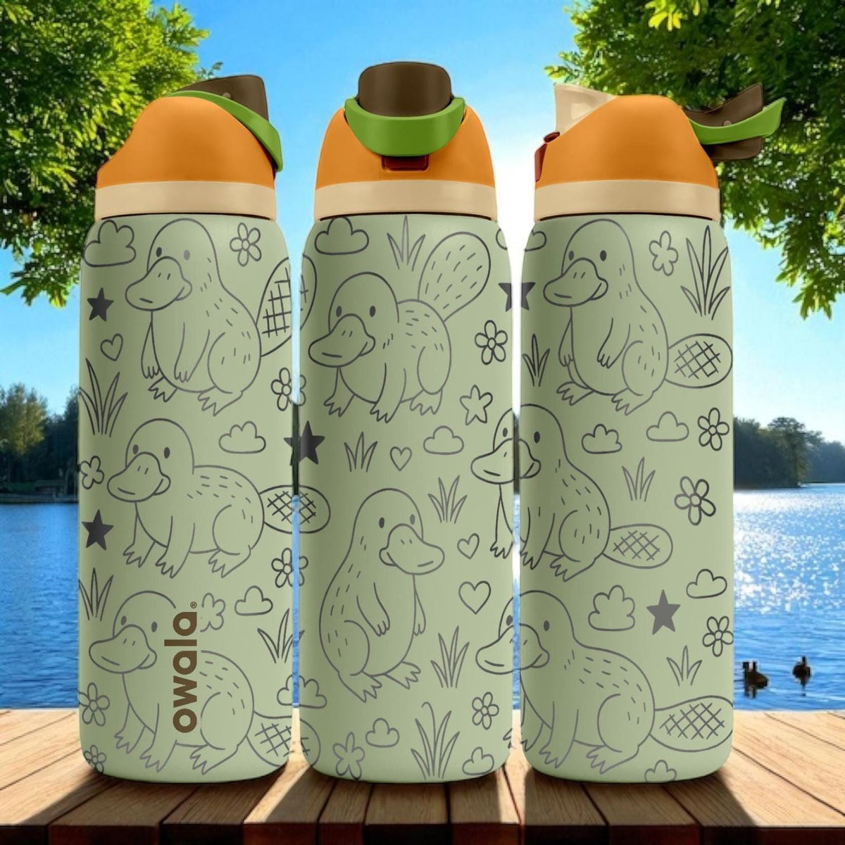 Engraved Platypus Water Bottle – Cute Owala Tumbler with Flowers and Stars – 16oz 24oz 32oz 40oz Gift for Animal and Nature Lovers