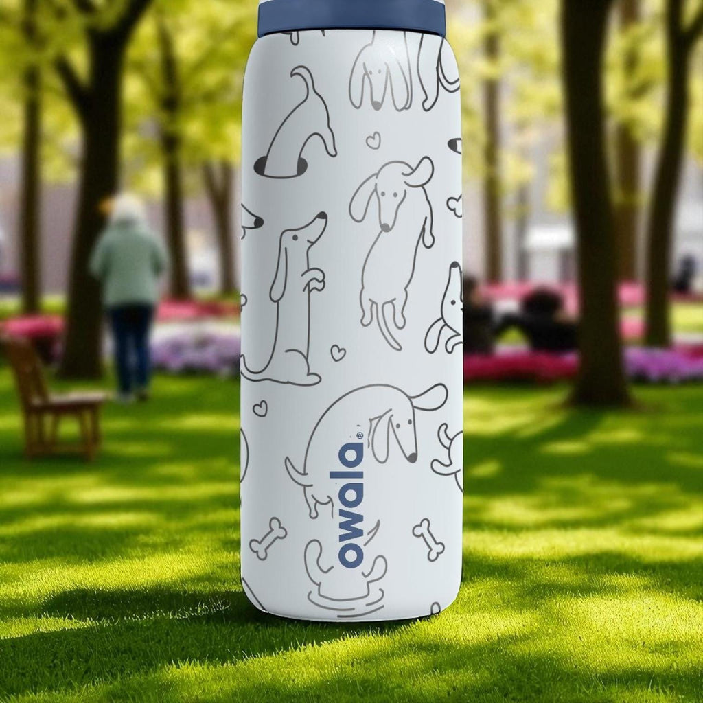Cute Dachshund Owala Bottle – 16oz 24oz 32oz 40oz Engraved Sausage Dog Tumbler – White Pup Gift for Dog Lovers