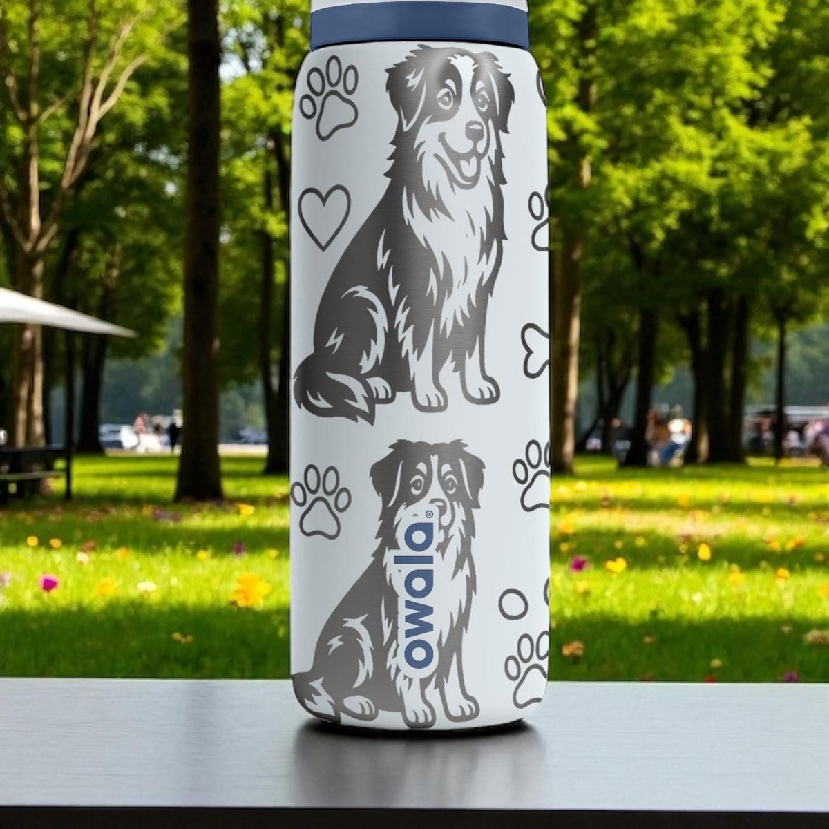 Australian Shepherd Engraved Owala Bottle – Cute Dog Gift with Paws and Bones – 16oz 24oz 32oz 40oz Water Bottle for Aussie Lovers