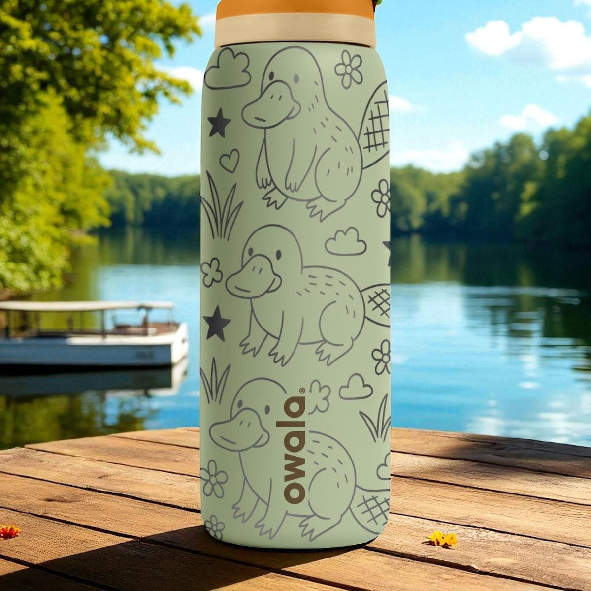 Engraved Platypus Water Bottle – Cute Owala Tumbler with Flowers and Stars – 16oz 24oz 32oz 40oz Gift for Animal and Nature Lovers