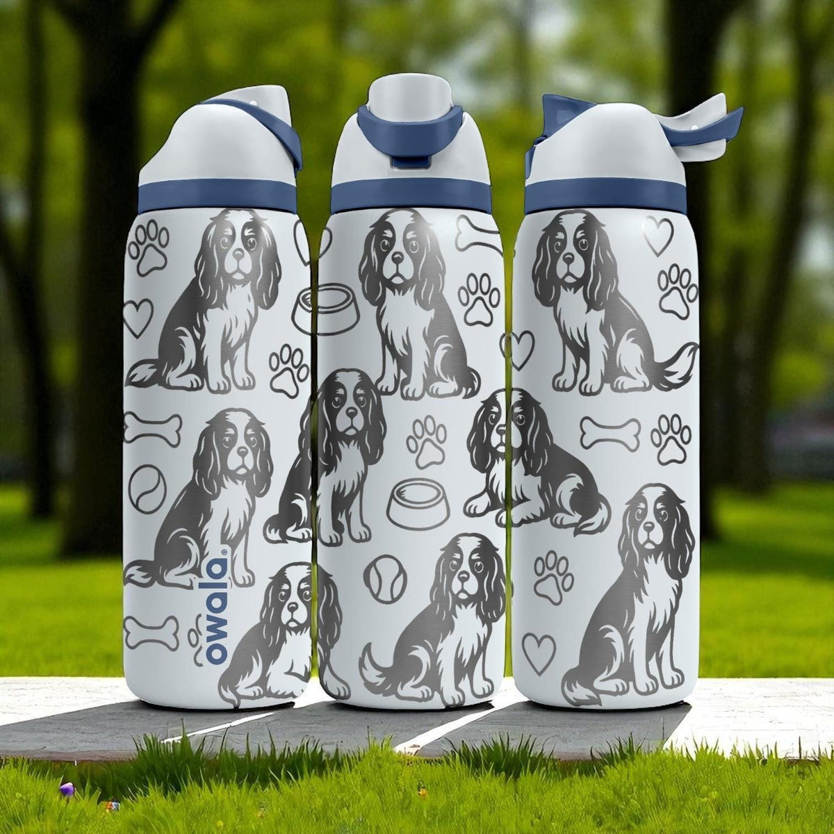 Cavalier King Charles Engraved Owala Bottle – Dog Gift for Spaniel Lovers – 16oz 24oz 32oz 40oz Personalized Water Bottle